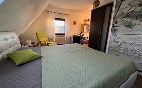 Ferienwohnung am Park